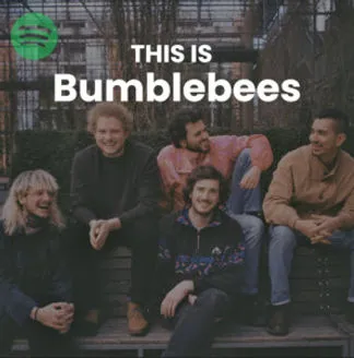 spotify_playlist.jpeg
